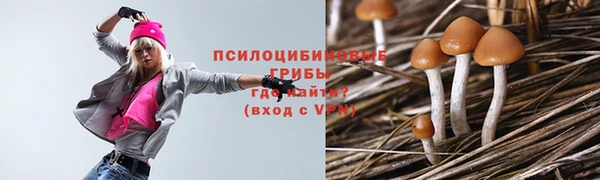 не бодяженный Балахна