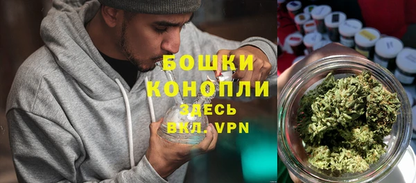 дживик Сясьстрой